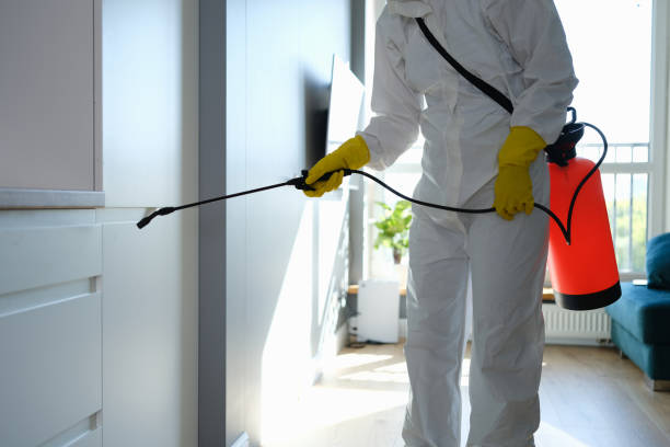 Best Toxic Mold Removal  in Seward, AK