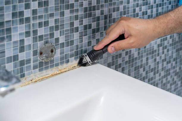 Best Mold Removal Near Me  in Seward, AK