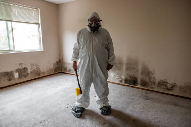 Best Certified Mold Removal  in Seward, AK